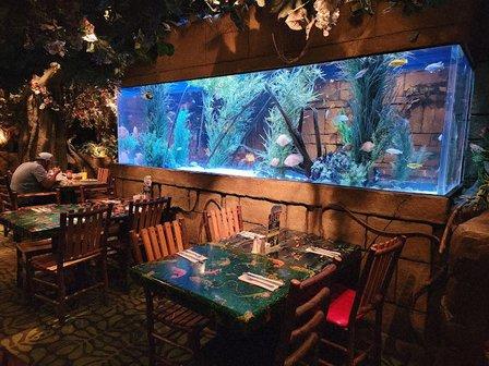 Rainforest Cafe