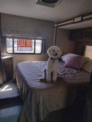 rv consignments