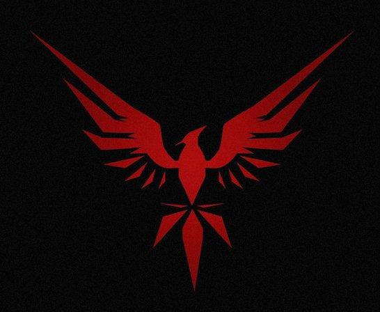 Phoenix automotive llc