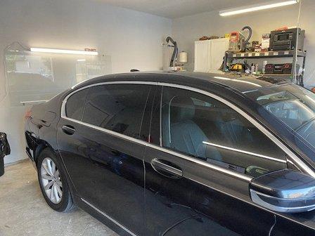 Wild Boyz Window Tinting
