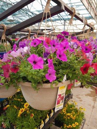 Lowe's Garden Center