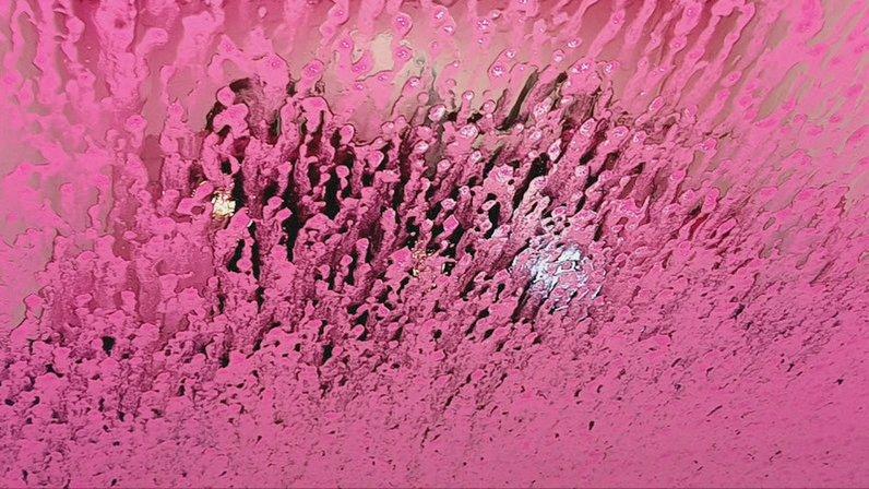 Fischer's Car Wash #40
