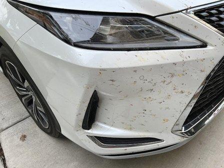 Your Favorite Auto Detail