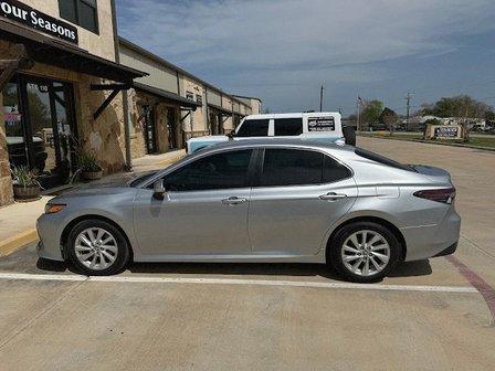 Top Dog Tint