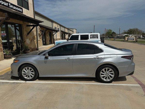 Top Dog Tint