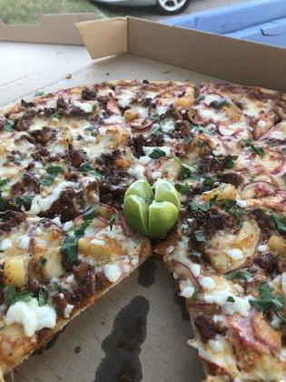 Hungry Chameleon Pizzeria