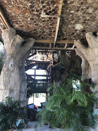 Treehaus Luxury Suites