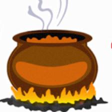 Biryani Pot