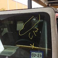 Auto Magic Enterprises, Inc