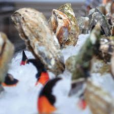SILO Terrace Oyster Bar