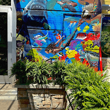 Mr.Crabby's Cajun Seafood & Bar