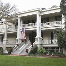 The Argyle