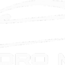 SAN PEDRO MOTORS LLC