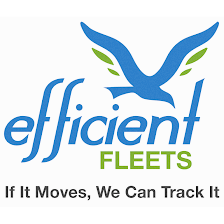 Efficient Fleets