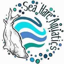 Sea Hare Aquatics