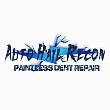 Auto Hail Recon
