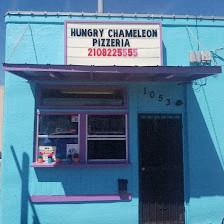 Hungry Chameleon Pizzeria