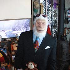 Arctic Ape