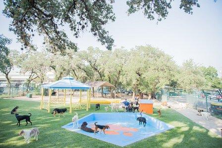Lucy's Doggy Daycare and Spa
