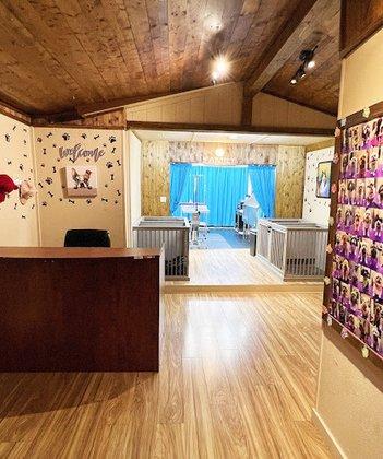Diva Doggie Spa