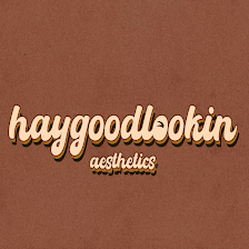 haygoodlookin aesthetics