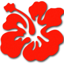 Skin Benefit Day Spa