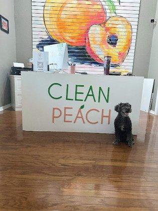 Clean Peach Wax Studio