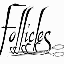 Follicles