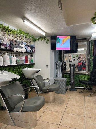 Carriera's Hair Salon