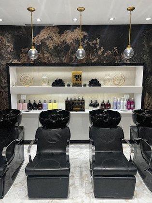 Mane and Company Salon and Spa, LLC