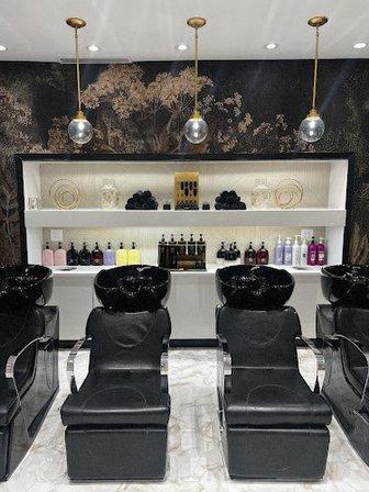 Mane and Company Salon and Spa, LLC