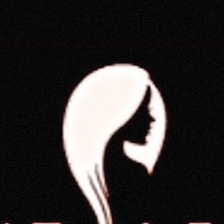 Next Level Hair Salon
