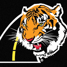 Law Tigers Motorcycle Injury Lawyers - San Antonio