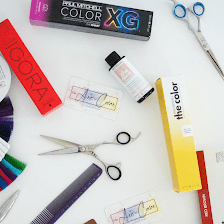 The Art of Color