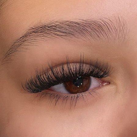 Venus Lash and Brow Studio