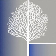 Wilderness Oak Family Dentistry at 281