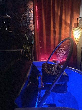 The Hidden Labyrinth Beauty Lounge