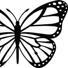 YM Sex Therapy - AASECT Certified Sex Therapist