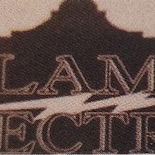 Alamo 1 Electric LLC
