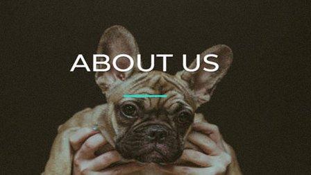 Healing Hands Veterinary Hospital