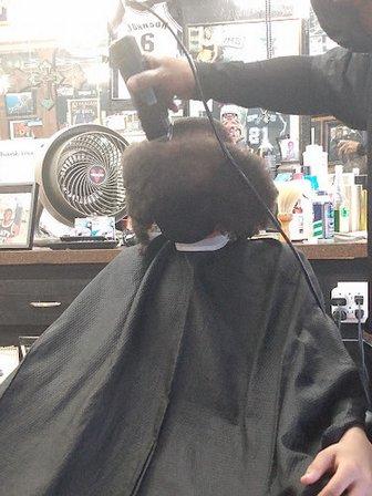 Top of the Line Barber Shop