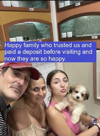 The San Antonio puppies for sale