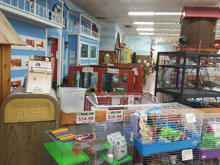 Polly's Pet Shop