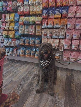 Woof Gang Bakery & Grooming Pearl