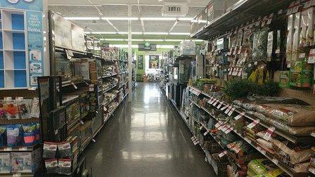 Pet Supplies Plus San Antonio - Babcock