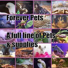 Forever Pets Inc