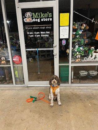 Mike's Dog Store