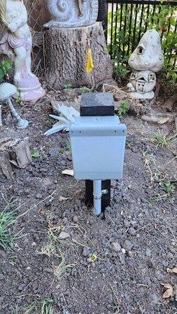 Chappy Electric LLC