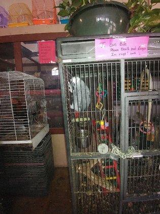 Ramirez Feed Store