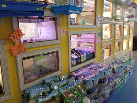 Papa Jim's Tropical Fish